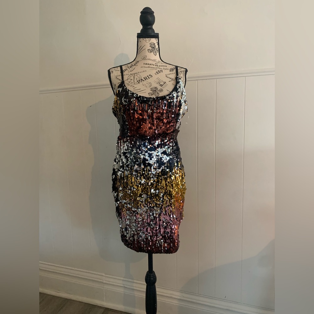 Dress “Belle Zip Back Sequin Bodycon Dres